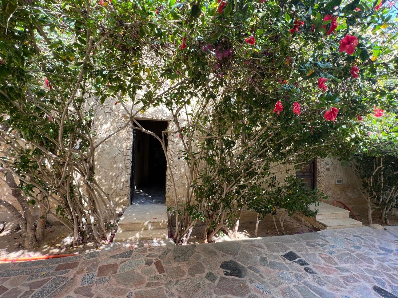 Zad El Mosafer Guest House Tunis Exterior photo